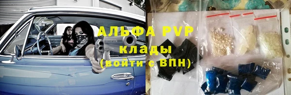 тгк Гусев