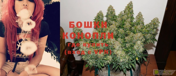 крисы Горнозаводск