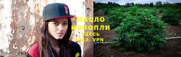крисы Горнозаводск