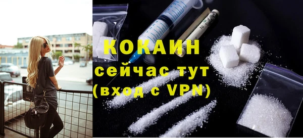 винт Горняк