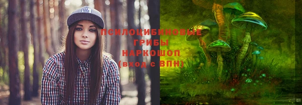 винт Горняк