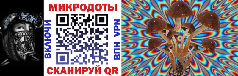 Галлюциногенные грибы прущие грибы  купить закладку  Котово 